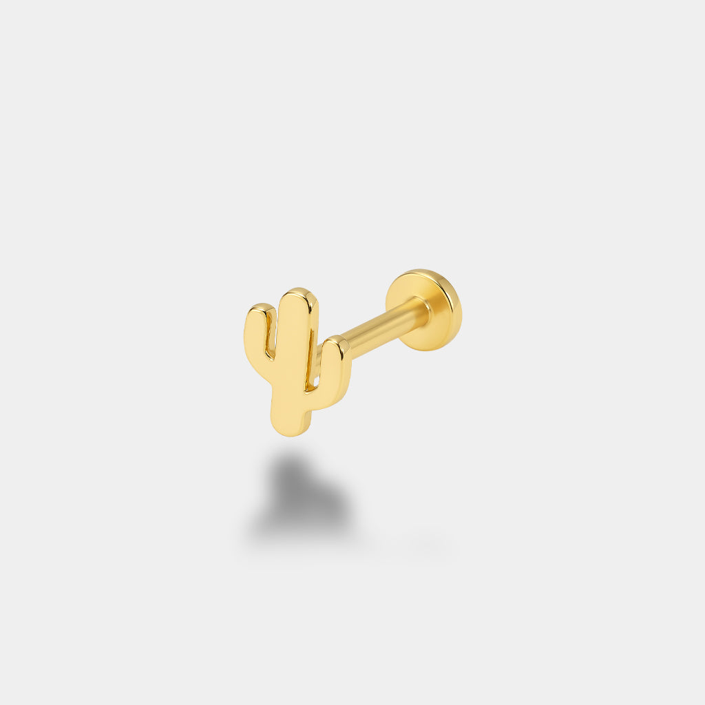 Kaktüs Piercing