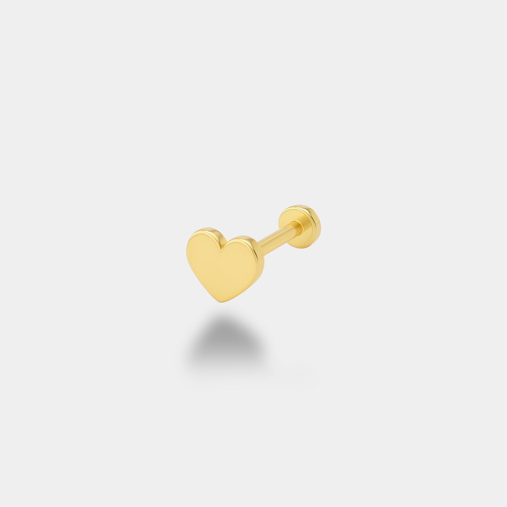 Kalp Tragus