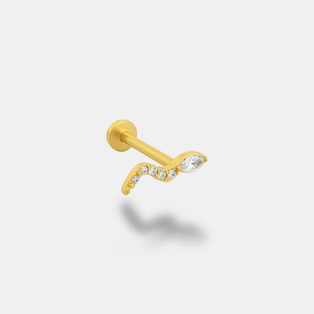 Snake