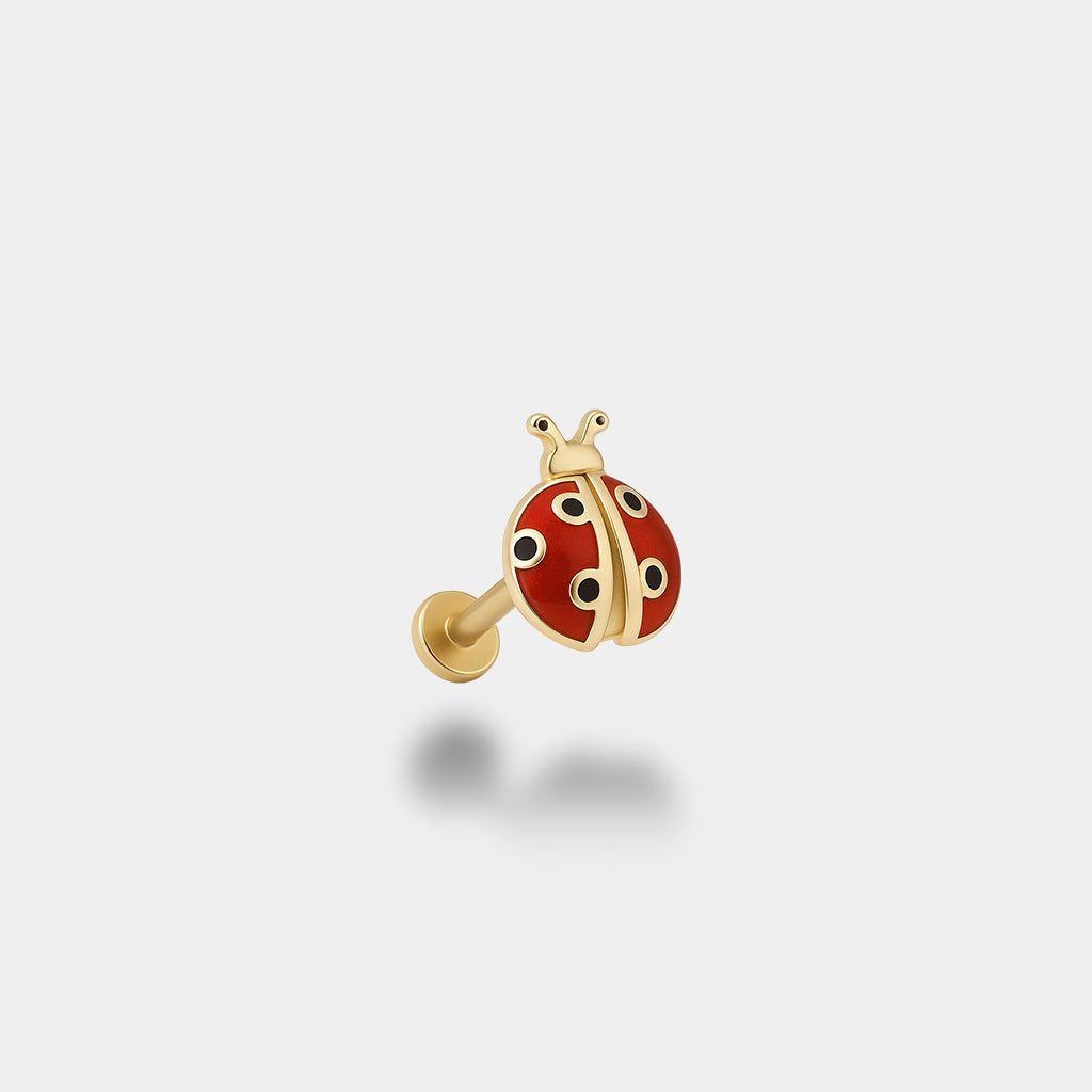Uğur Böceği Piercing