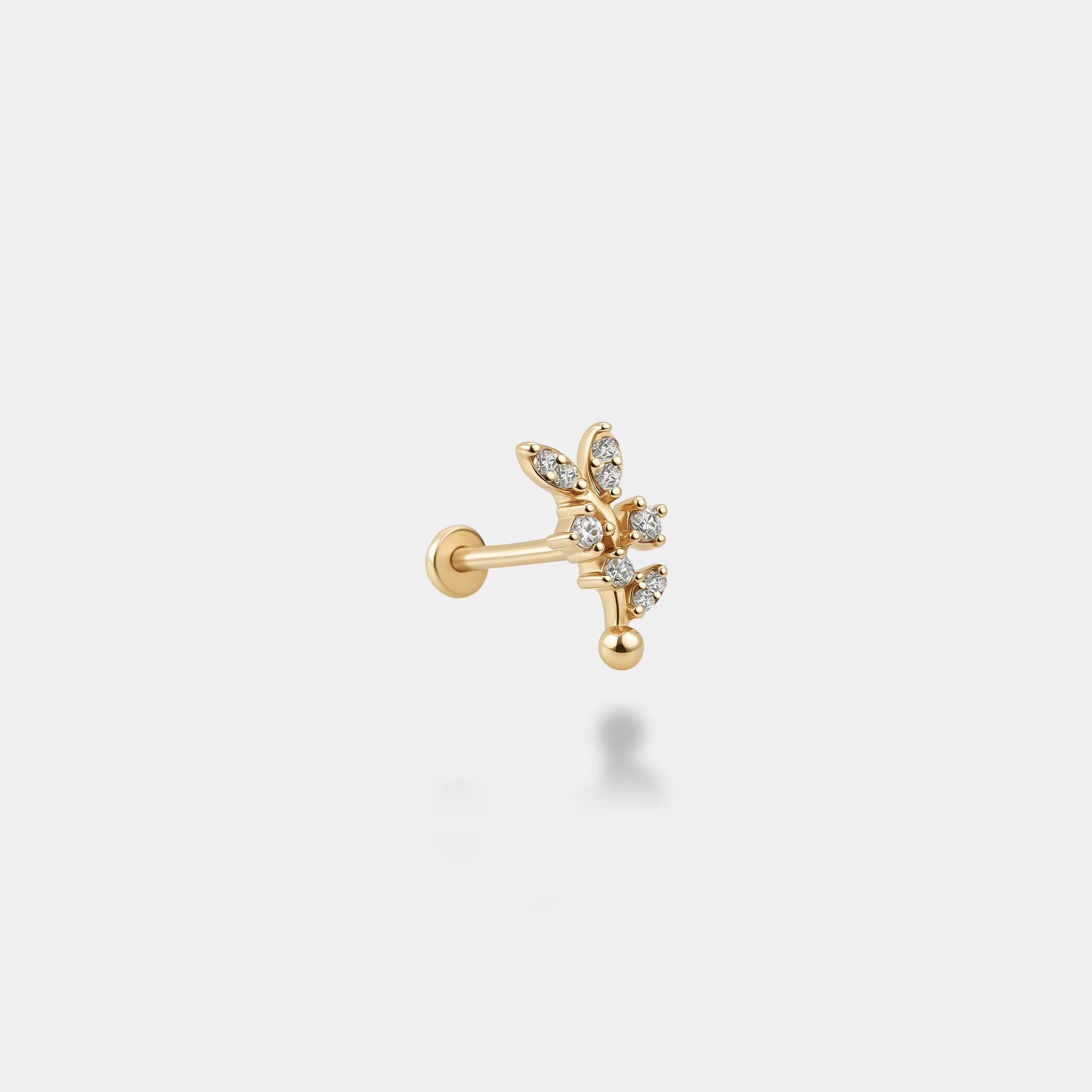 Zeytin Dalı Piercing