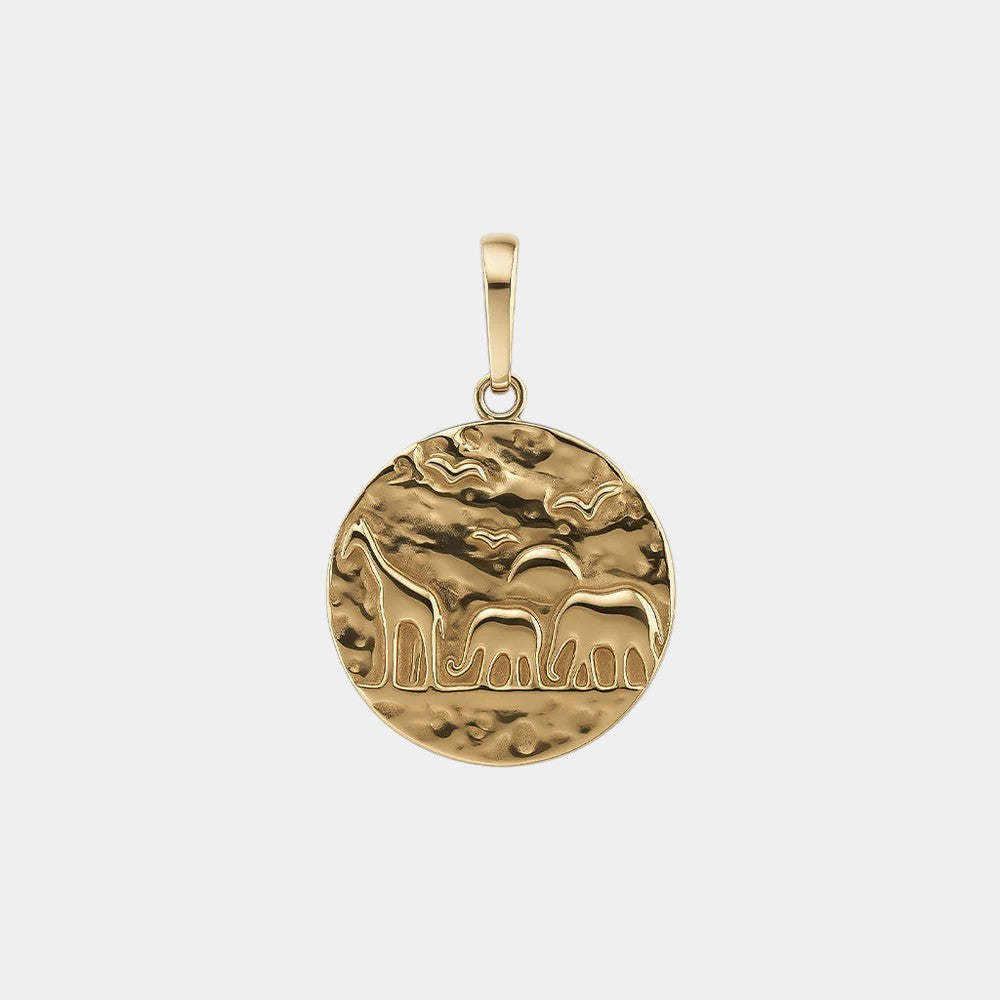 Zoo Charm