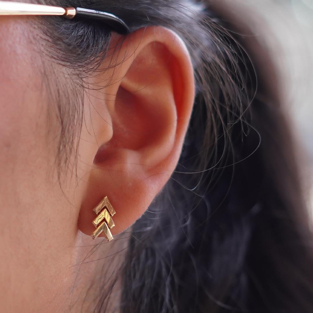 Balık Sırtı Küpe