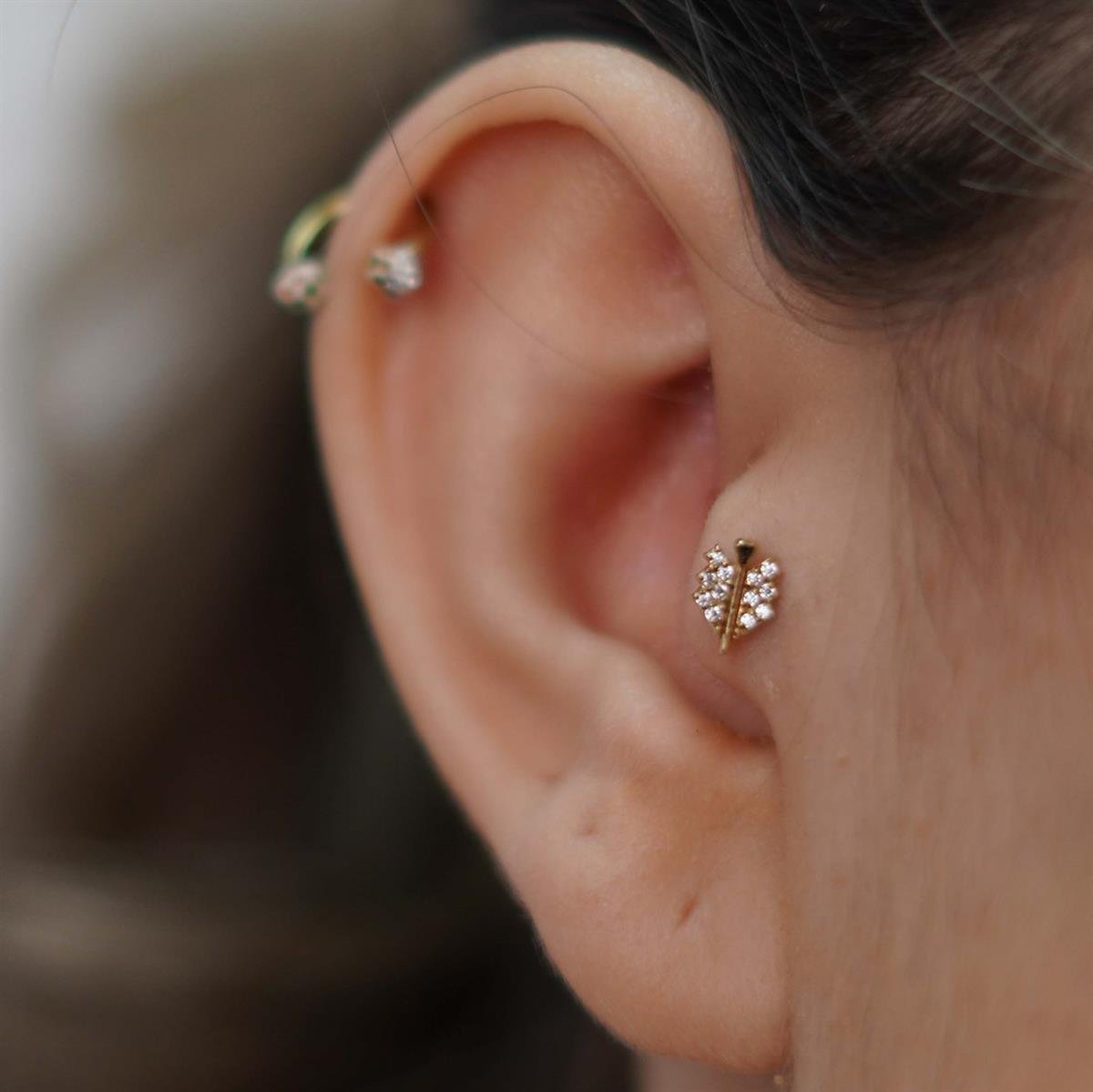 Başak Tragus