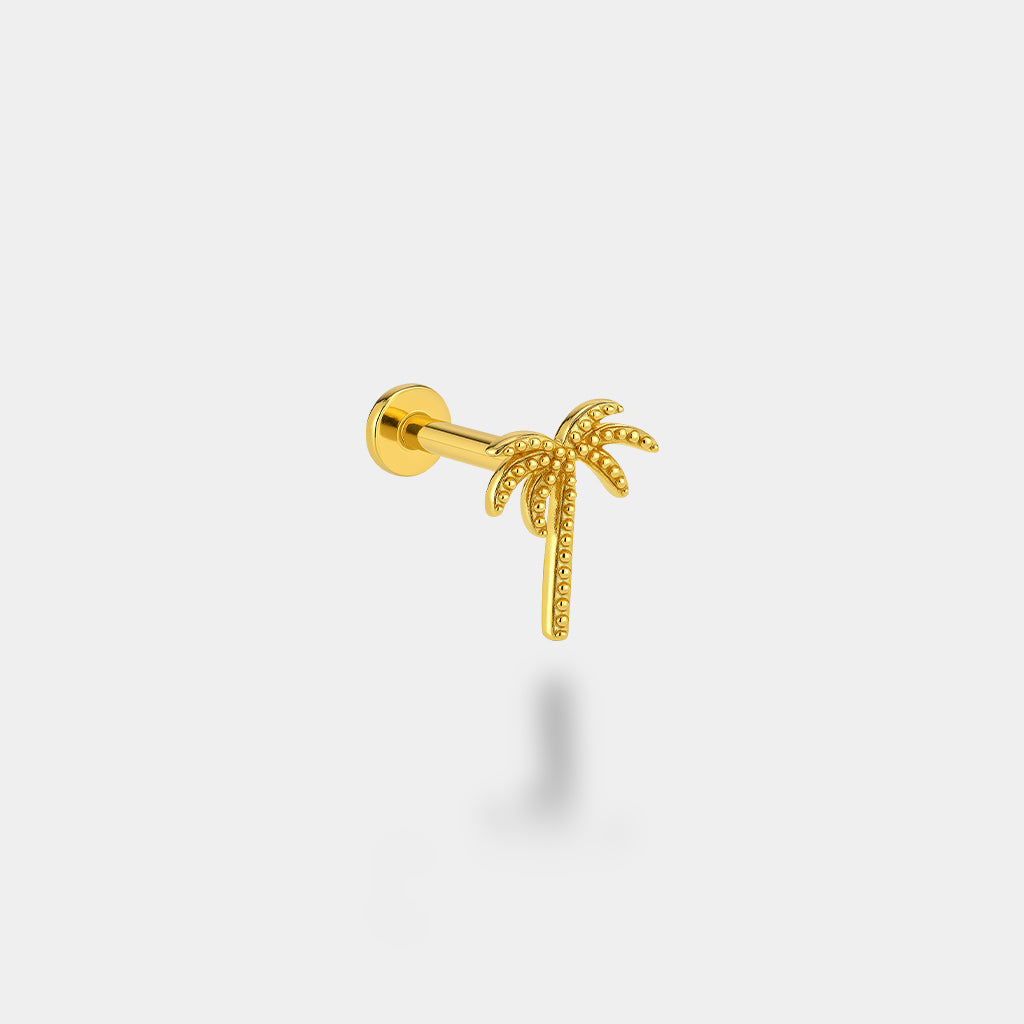 Palmiye Piercing