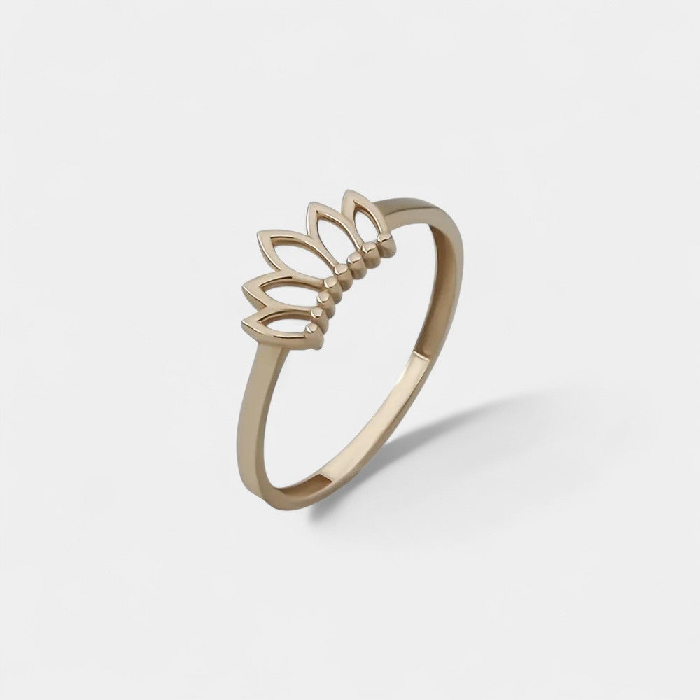 Princess Crown