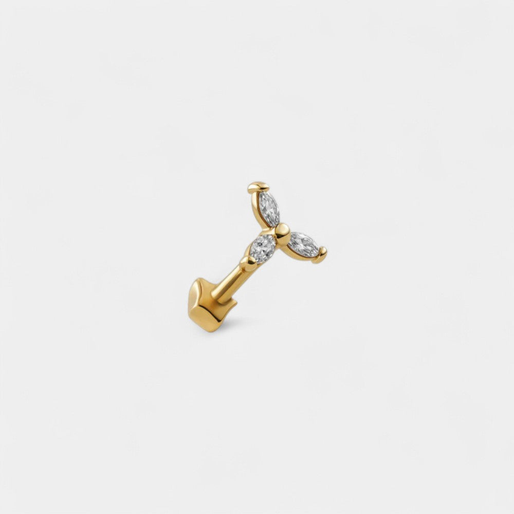Tria Tragus