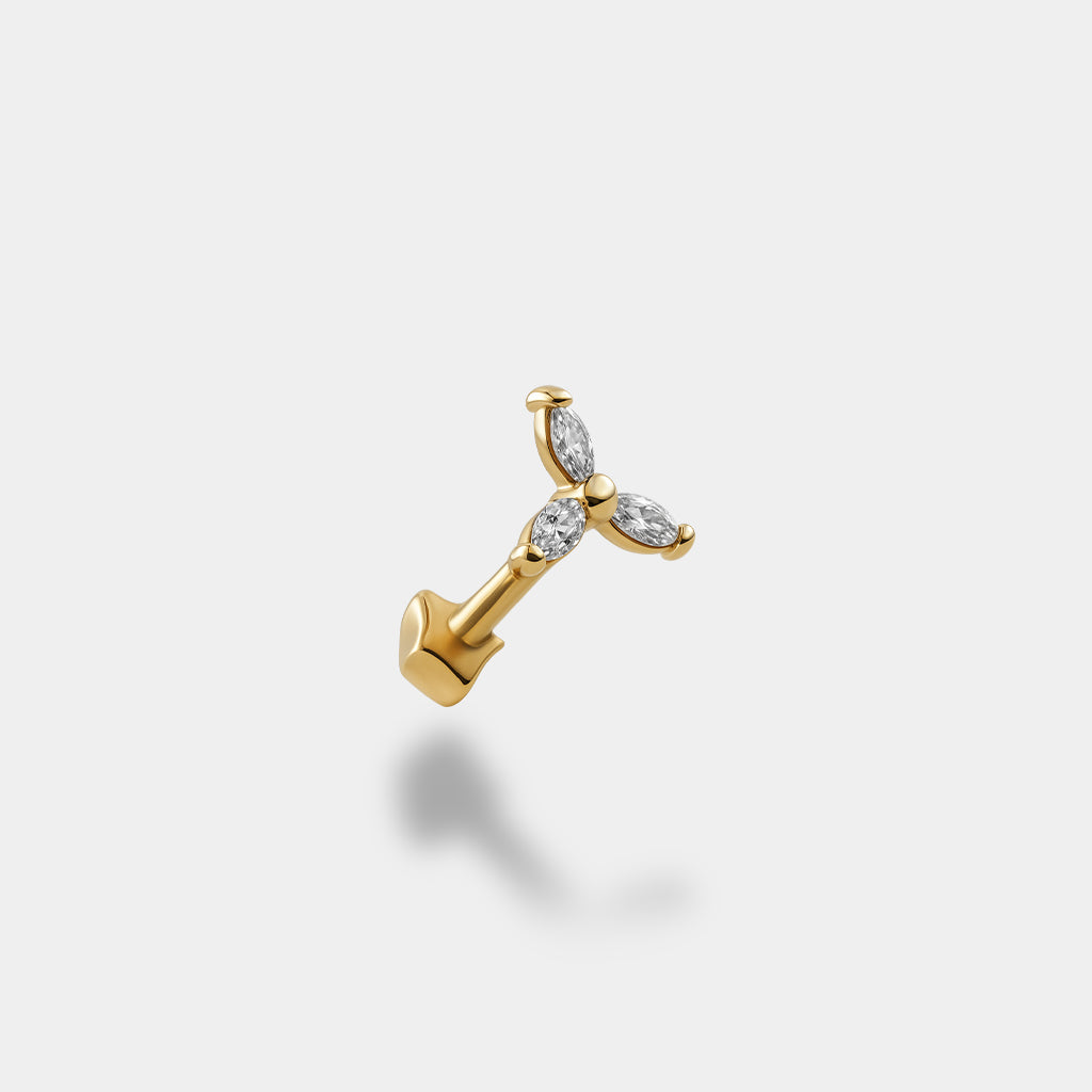 Tria Tragus